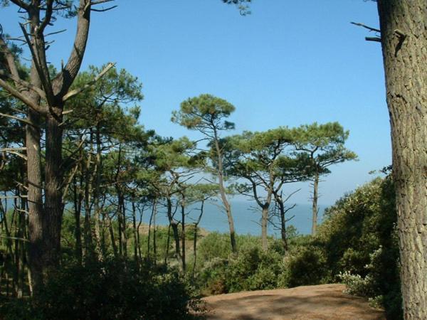 Cottages Du Valcoquet Saint-Brévin-les-Pins Dış mekan fotoğraf
